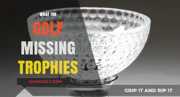 Golfing Glory: Missing Trophies and Mastery