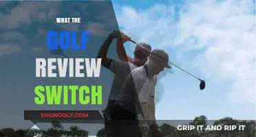 Golfing Fun: A Quirky Switch Review