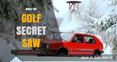 Golf's Secrets: What the Pros Know
