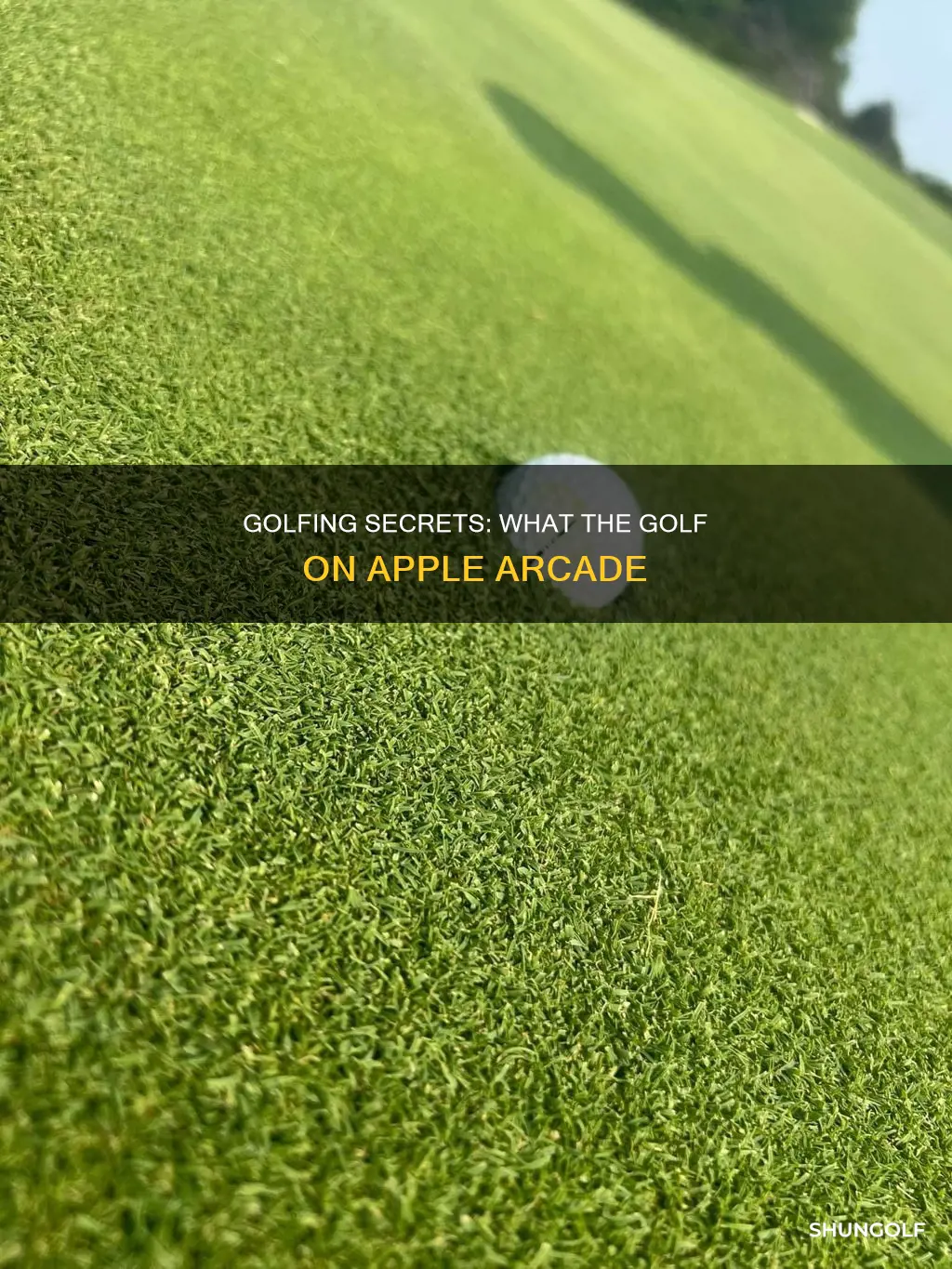 what the golf secrets apple arcade