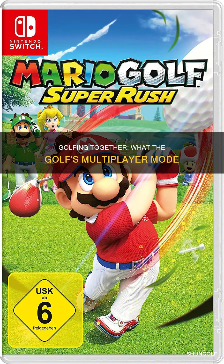 what the golf switch multiplayer