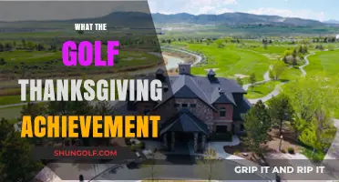 Golfing Achievements to be Thankful For