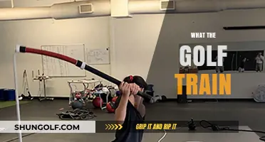 Golf Training: What's the Secret to Success?
