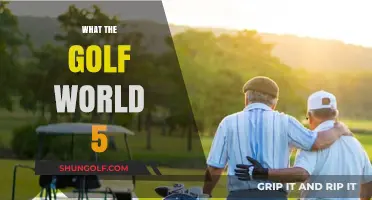 Golfing Fun: What the Golf World 5 Offers