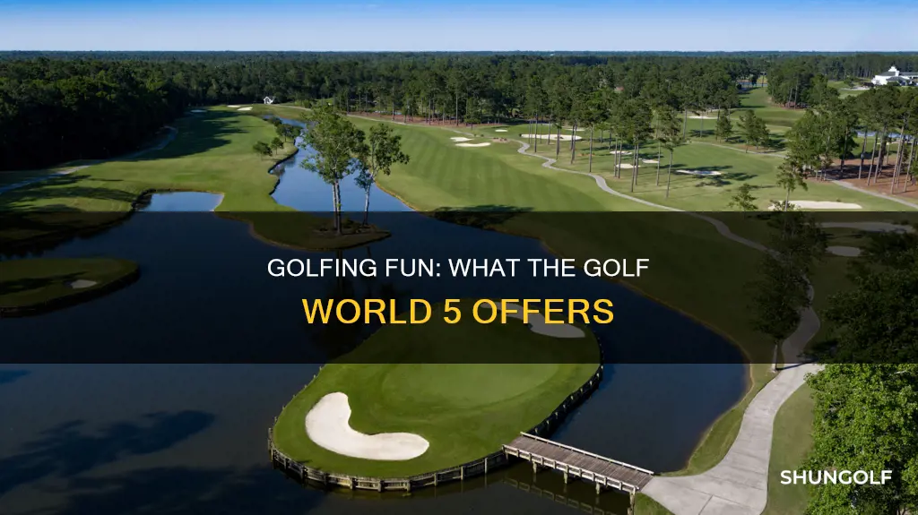 what the golf world 5