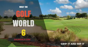 Golfing Fun: What the Golf World 6 Offers