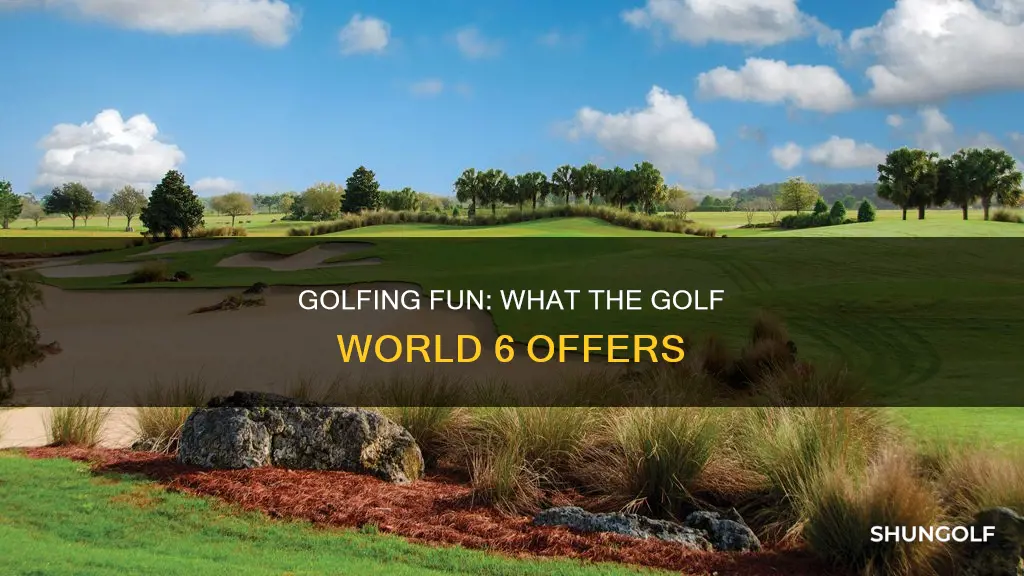 what the golf world 6