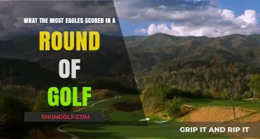 Record-Breaking Eagles: Highest Single-Round Scores in Golf History