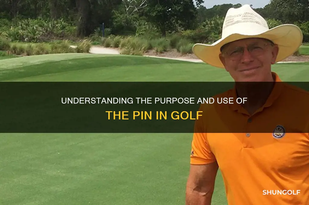 what the pin in the ground for golf