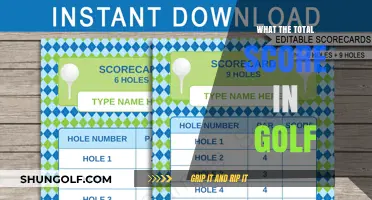 Golf's Magic Number: What's the Perfect Score?