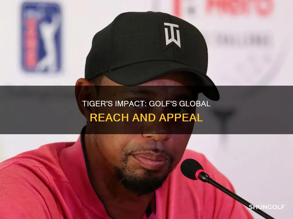 what tiger has done for golf