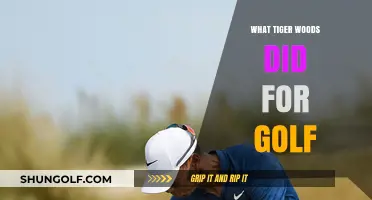 Tiger Woods: Revolutionizing Golf's Appeal and Accessibility