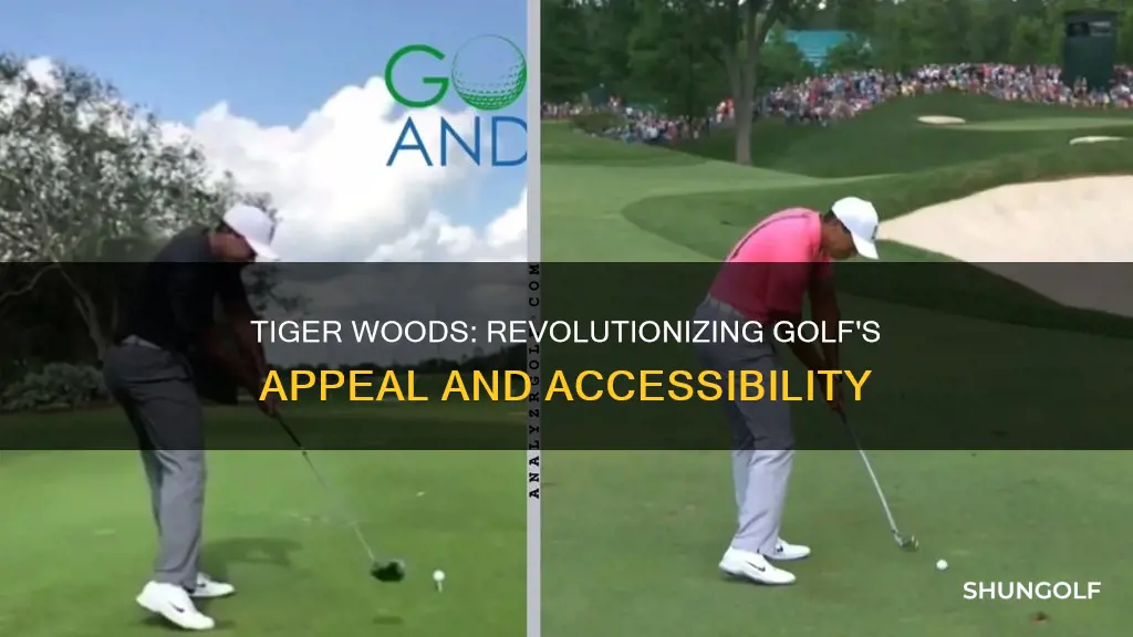 what tiger woods did for golf