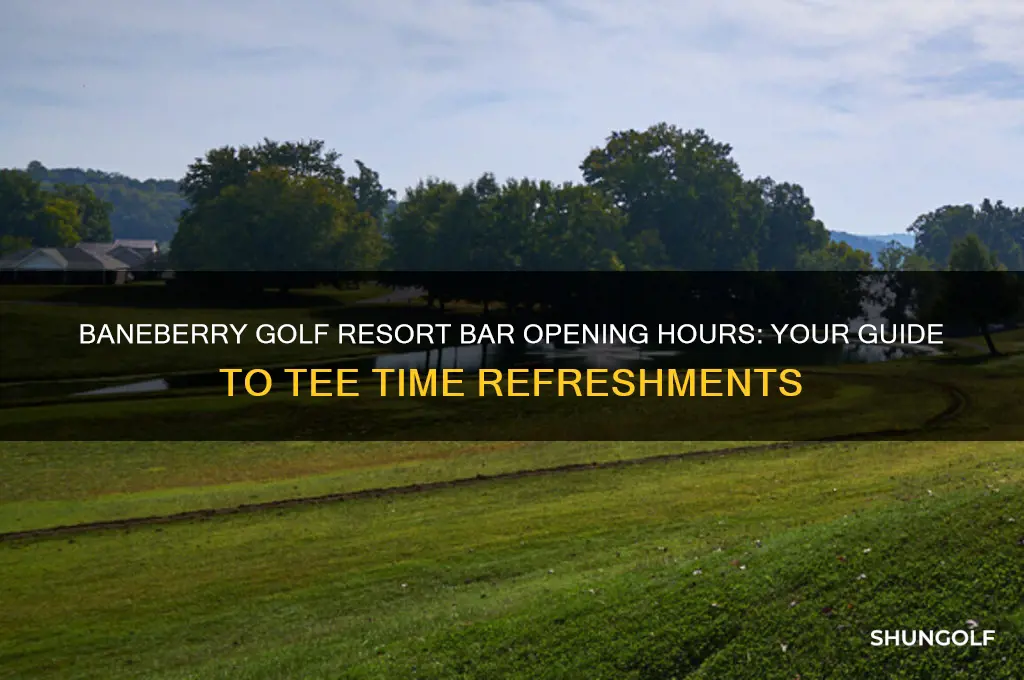 what time does bar open at baneberry golf resort
