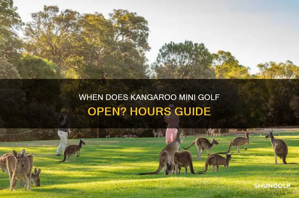 what time does kangaroo mini golf open