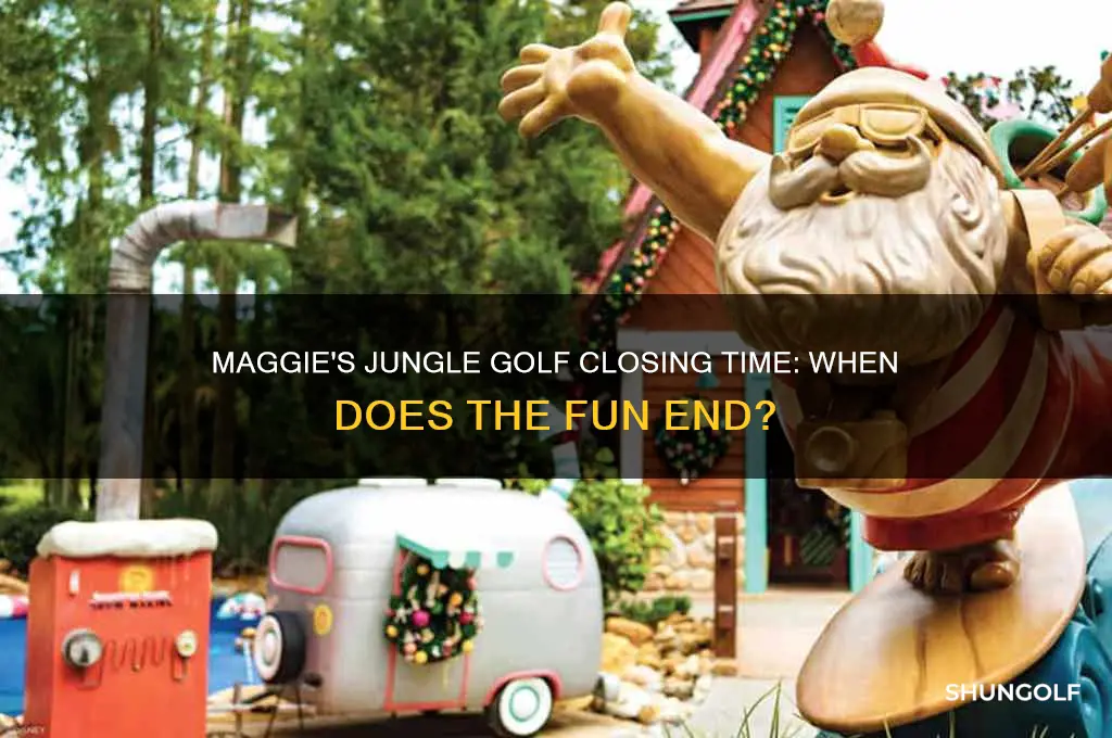 what time does maggie