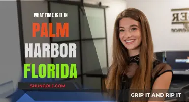 Current Time in Palm Harbor, Florida: A Quick Guide