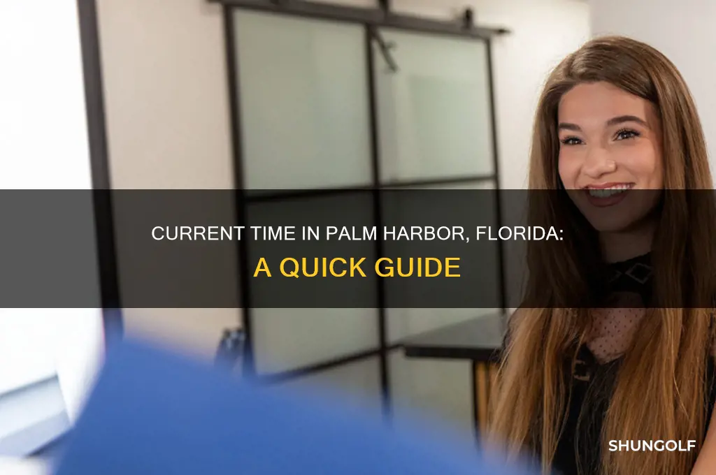 what time is it in palm harbor florida