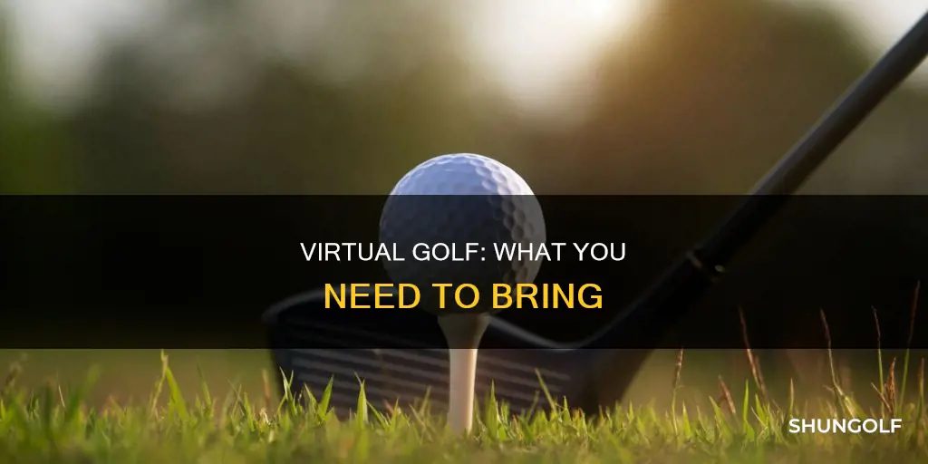 what to bring to virtual golf