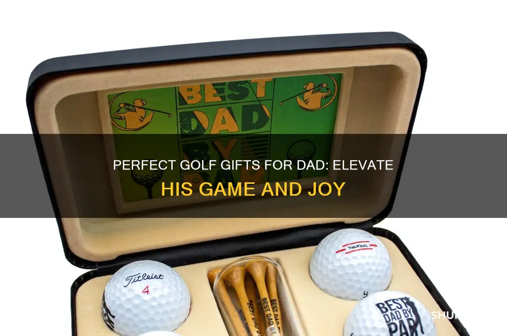 what to buy a dad who loves golf