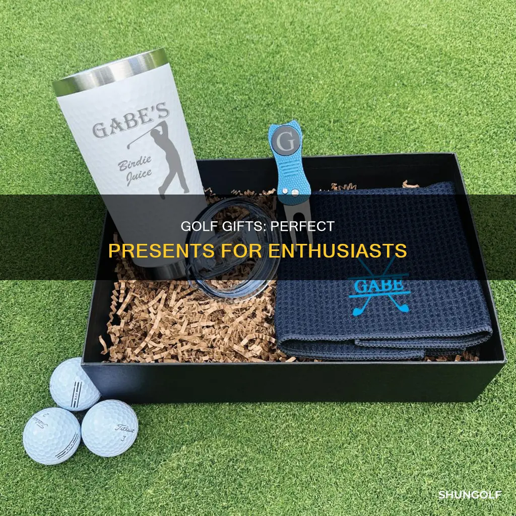what to buy a golf enthusiast