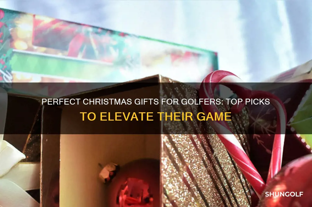 what to buy a golfer for christmas