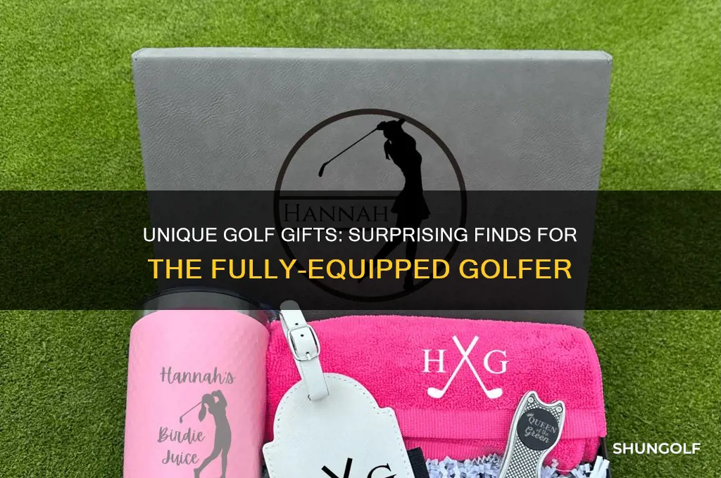 what to buy a golfer that has everything