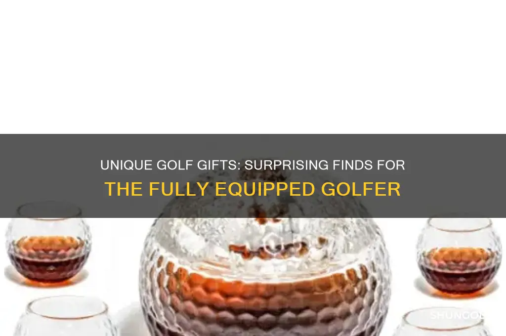 what to buy a golfer who has everything
