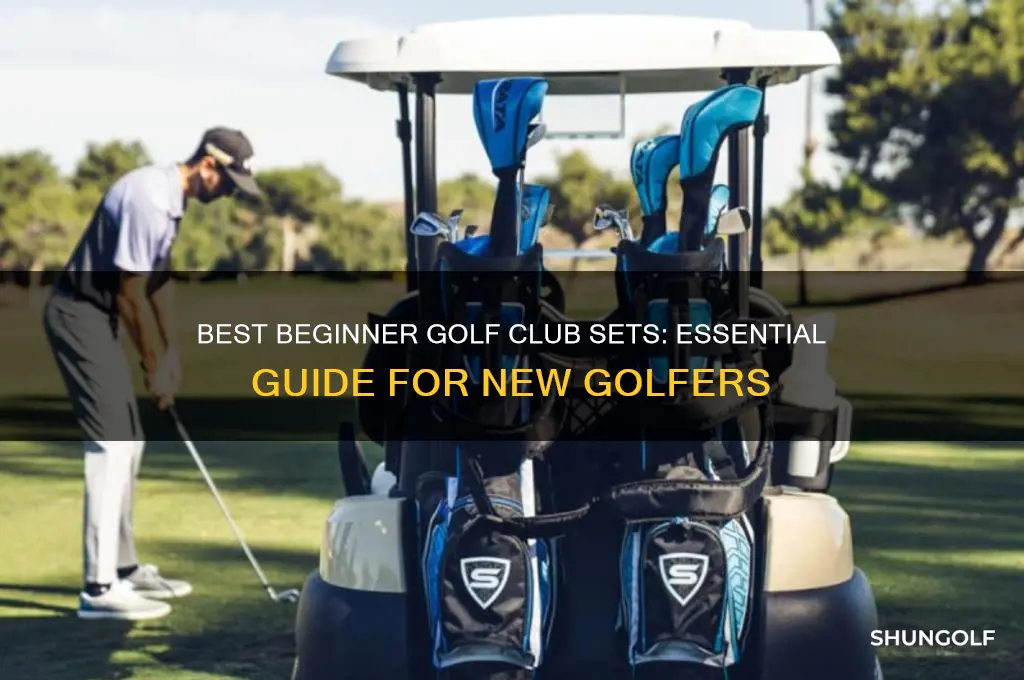 what to buy golf club sets for beginners