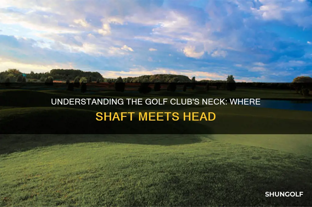 what to call where shaft meets head of golf club