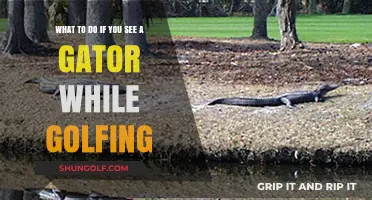 Gator on the Green: Staying Safe While Golfing in Alligator Territory