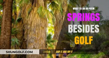 Beyond the Greens: Exciting Palm Springs Adventures Beyond Golf