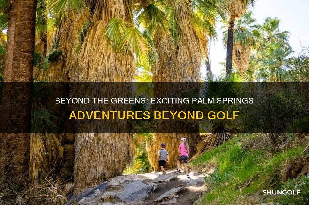 what to do in palm springs besides golf