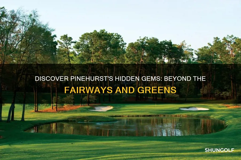 what to do in pinehurst besides golf