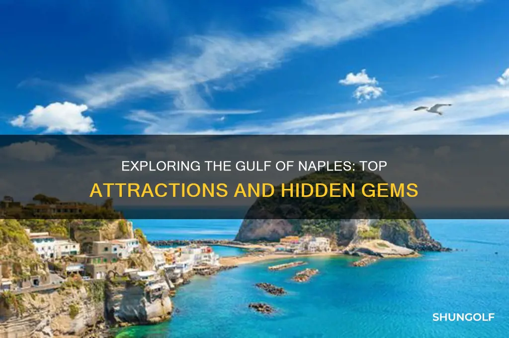 what to do in the golf of naples