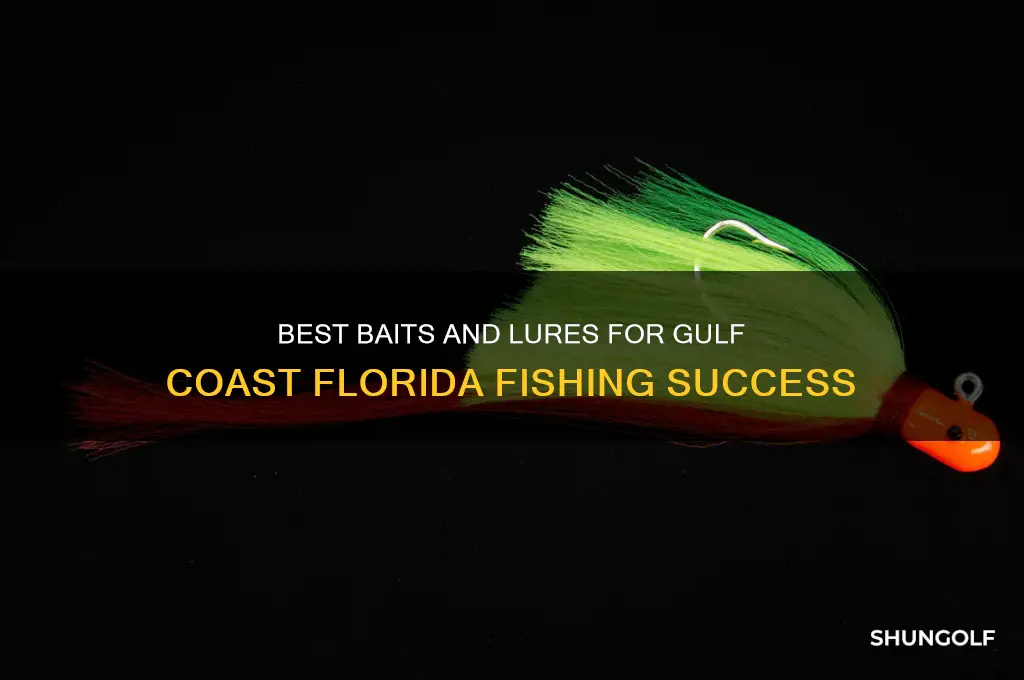 what to fish with in flordia at golf coast sounds