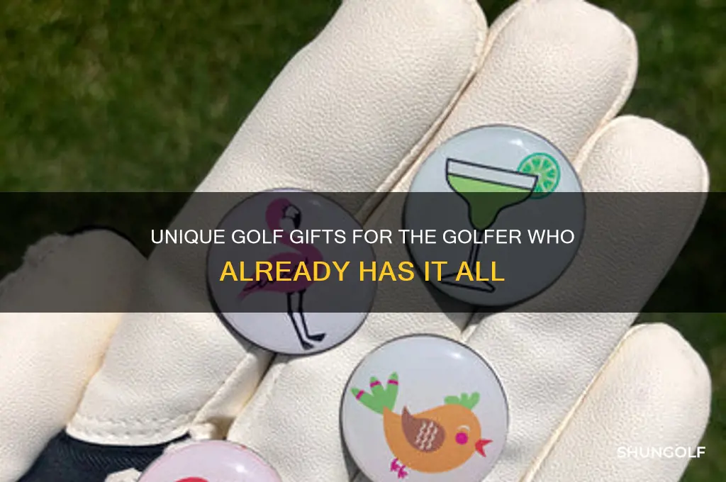what to give a golfer who has everything