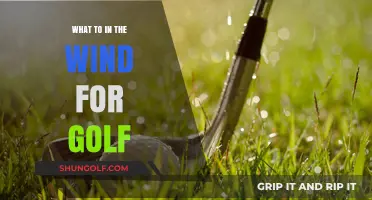 Mastering Windy Golf Conditions: Strategies for Better Play and Scoring
