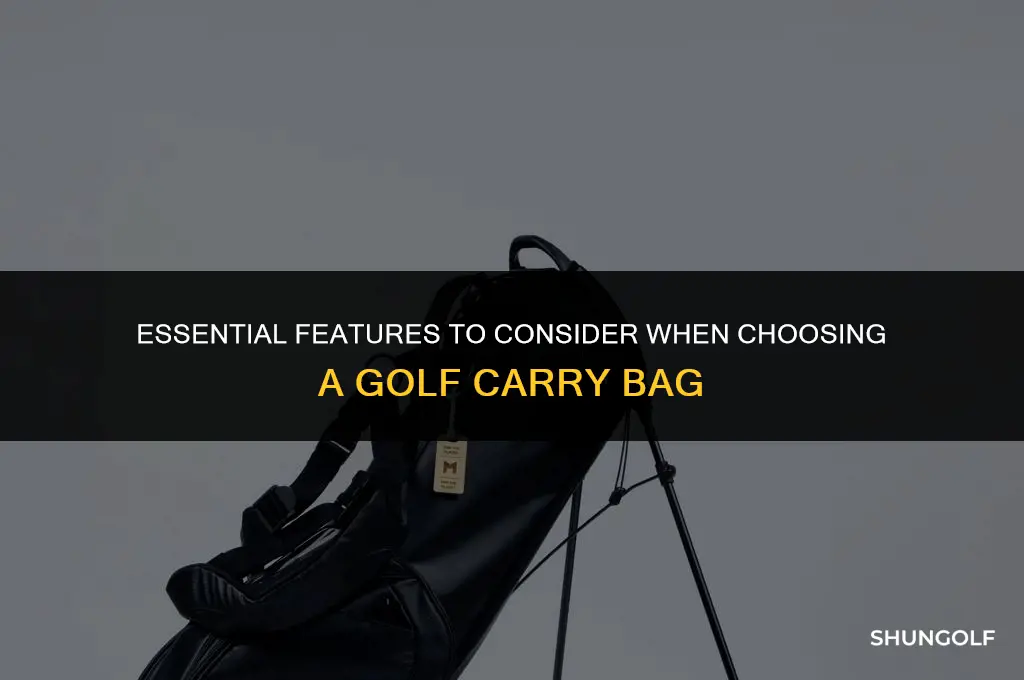 what to look for in a golf carry bag