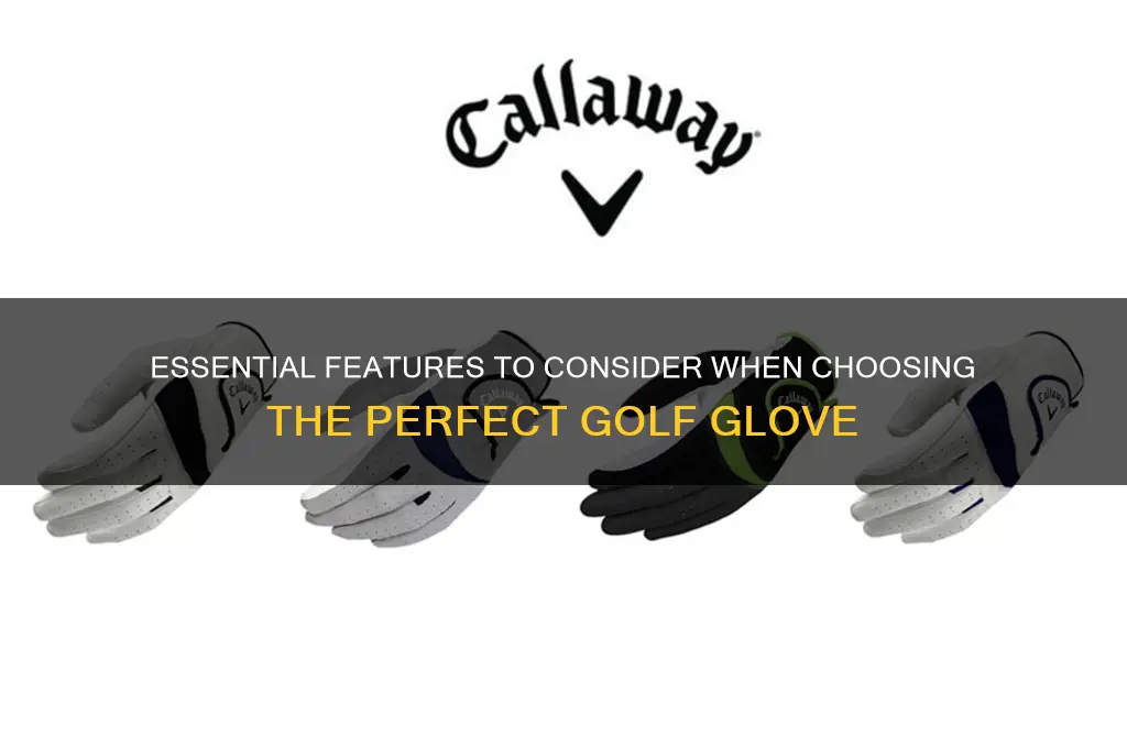 what to look for in a golf glove