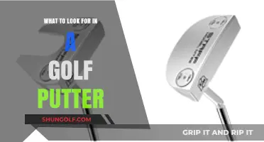Mastering the Green: Key Features to Look for in a Golf Putter