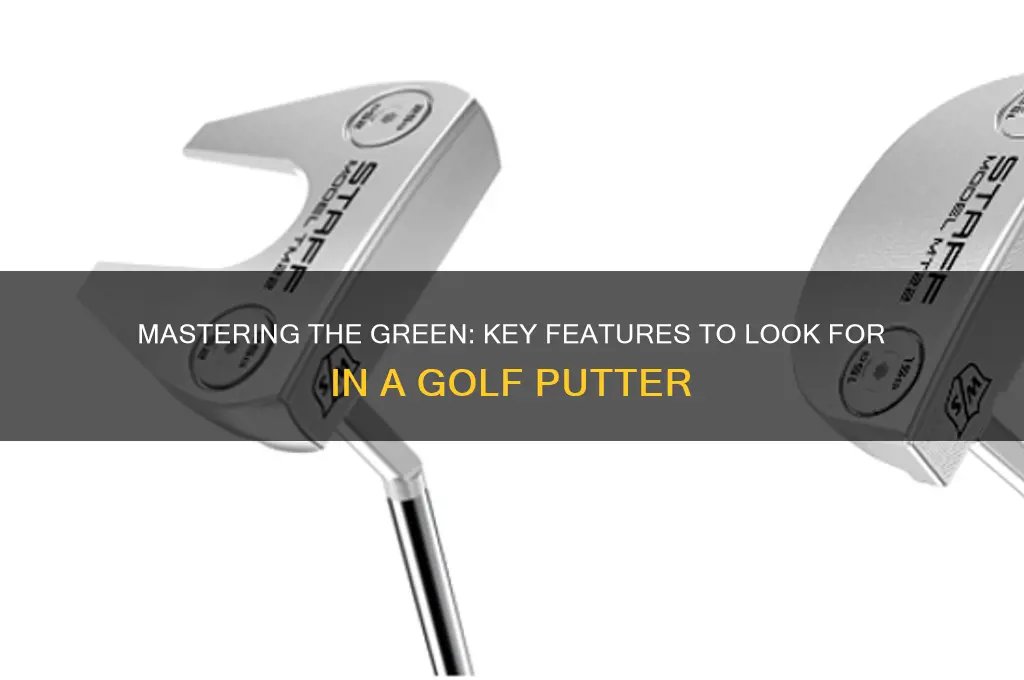 what to look for in a golf putter