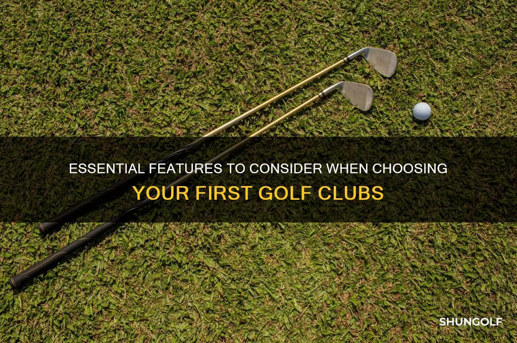 what to look for in beginner golf clubs