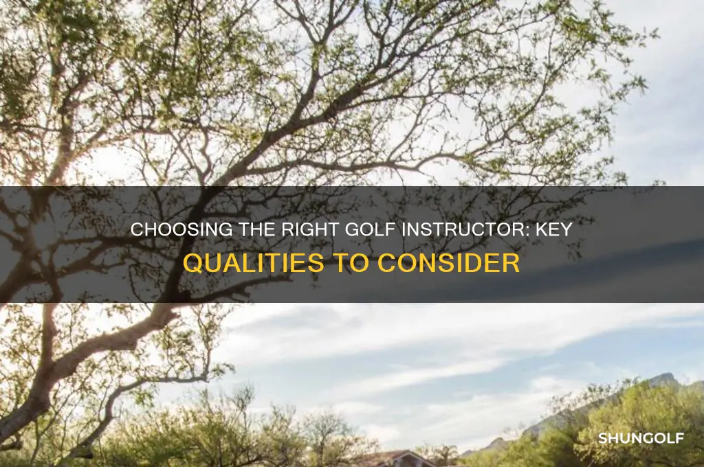 what to look for in golf instructor
