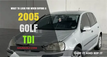 Buying a 2005 Golf TDI: Key Features and Checks to Consider