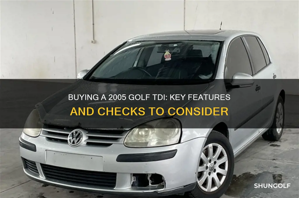 what to look for when buying a 2005 golf tdi