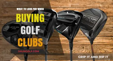 Essential Features to Consider When Purchasing Golf Clubs