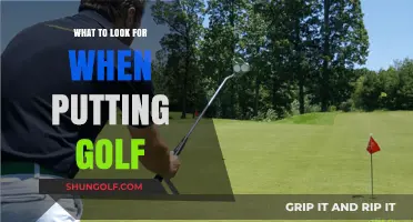Mastering the Green: Key Factors for Perfect Golf Putting