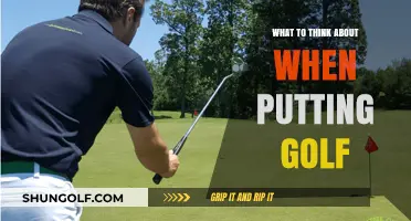 Mastering the Green: Key Considerations for Perfect Golf Putting