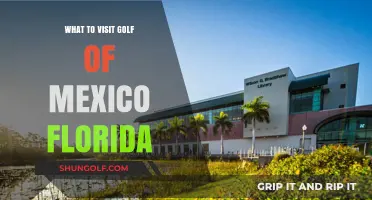 Discover Florida's Gulf Coast: Top Must-Visit Destinations and Attractions